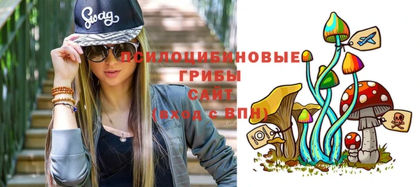 соль ск Краснослободск