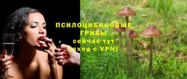 соль ск Краснослободск